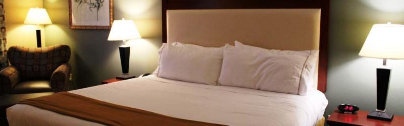 Holiday Inn Express & Suites Baton Rouge East By Ihg Prairieville Buitenkant foto